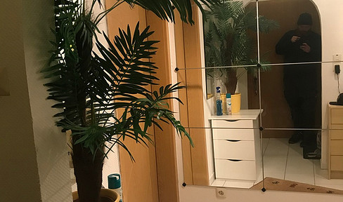 Biete Helle 2 Zimmer Wohnung von Privat in ruhige Lage in Tännesberg mit Terrasse,Grillgarten Mitbenutzung und Stellplatz sowie Keller. Wohnung sehr gut geteilt und Vollmöbliert.70000€ vhb. 015111378015