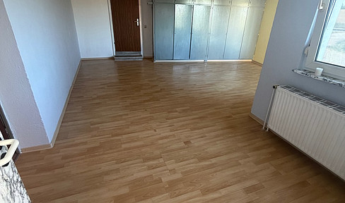3-room apartment with kitchen and bathroom, located near Hahn Airport.