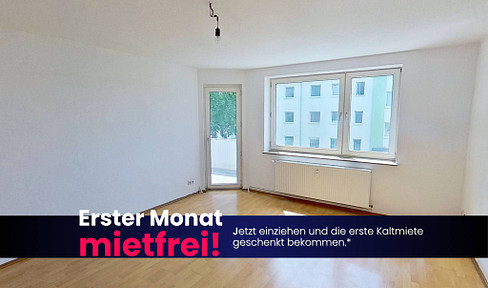 Minden-Dankersen: Renovated 3-room apartment with balcony.