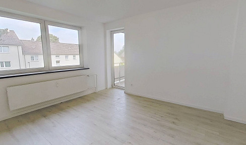 Renovated 3-room apartment with a BALCONY and a modern BATHROOM.