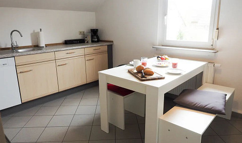 Shared apartment for professionals in Höchst.