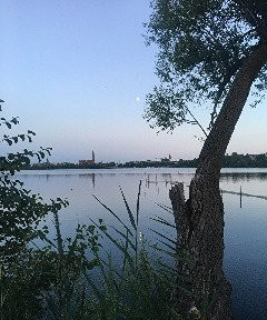 Schöner Wohnen mit Seeblick