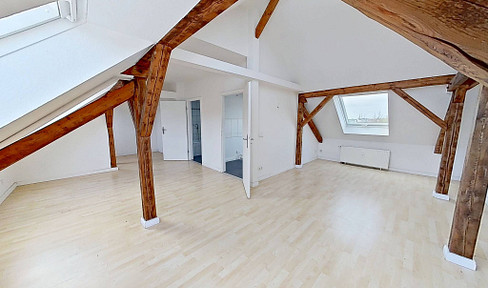 Renovated one-bedroom attic apartment with a unique living atmosphere in Leipzig-Möckern.