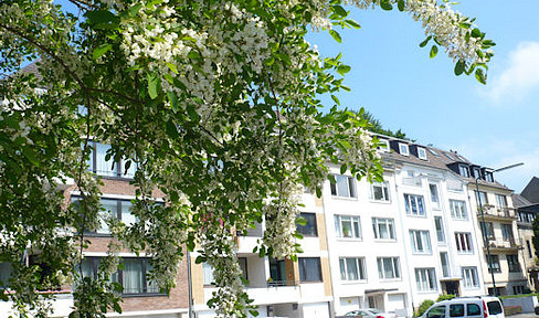 Dream apartment near the zoo, 1.5-room apartment with kitchen and bathroom, Grunerstraße 2, with balconies.