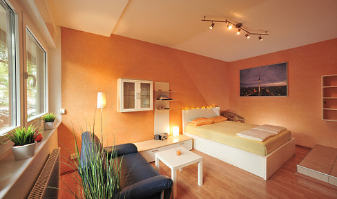 1-Zi.-Wohnung, Uni- und City-Nähe, PKW-Stellplatz, vollmöbliert, an der Spree, sofort beziehbar