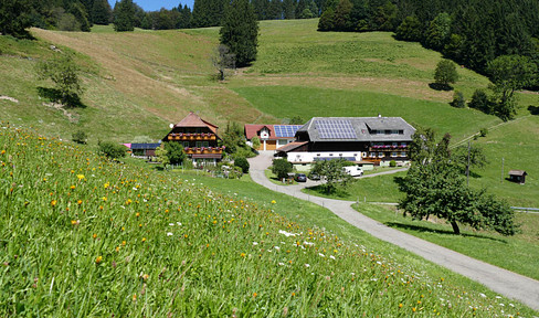 Black Forest-style house/apartment building, south-facing, with a view of the valley, featuring 2 separate apartments.
