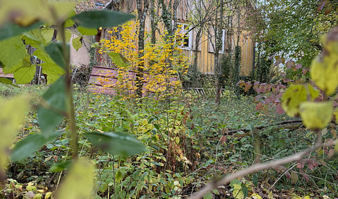 A charming little cottage in the Swabian Forest is looking for magical residents.