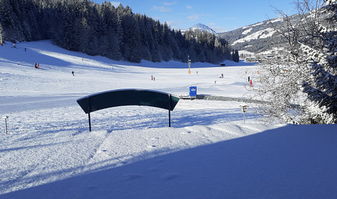 Mehrere nette voll möblierte 1-2 Raum Apartment TOP Lage an Skiwiese,200m Zentrum,Balkon, Stellplatz