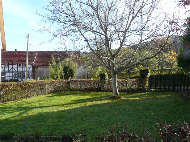 Ohne Makler : Idyllische Lage, traumhafter Weitblick und großzügiges Grundstück – Kombergstraße 16, 37290 Meißner-Alberode(Alberode) – Vorschaubild 10