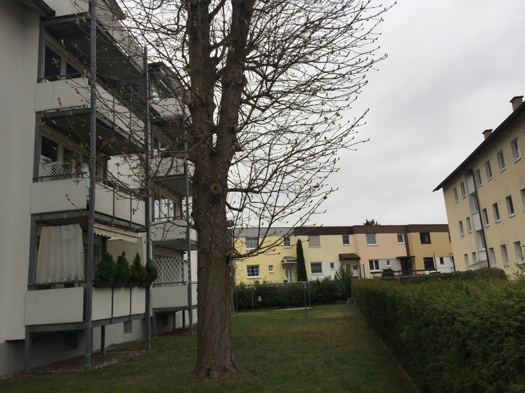 3 Zimmer-Wohnung in Rodgau/Rollwald – 63110 Rodgau/ Rollwald(Rollwald) – Vorschaubild 4
