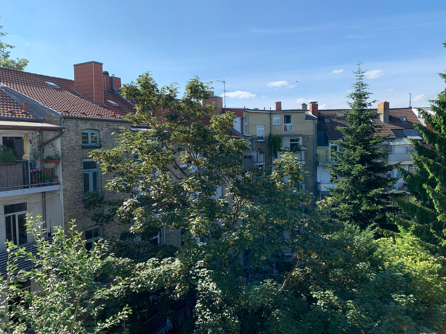 Helle, schöne und gepflegte Altbauwohnung mit Dielenfussboden und Einbauküche – Fockstrasse 26, 24114 Kiel(Südfriedhof) – Vorschaubild 23