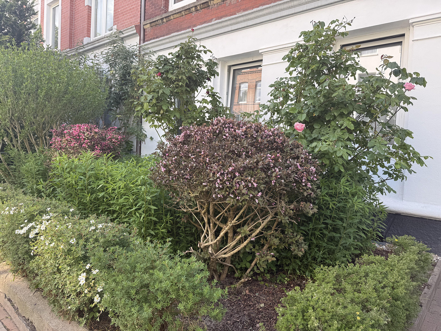 Helle, schöne und gepflegte Altbauwohnung mit Dielenfussboden und Einbauküche – Fockstrasse 26, 24114 Kiel(Südfriedhof) – Vorschaubild 35