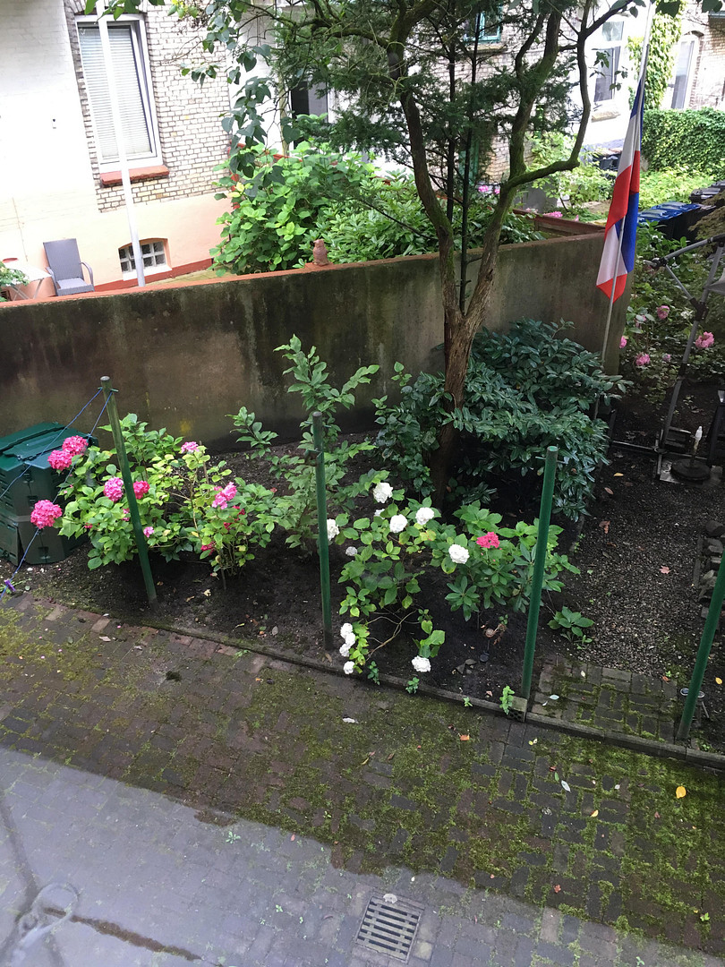 Helle, schöne und gepflegte Altbauwohnung mit Dielenfussboden und Einbauküche – Fockstrasse 26, 24114 Kiel(Südfriedhof) – Vorschaubild 15