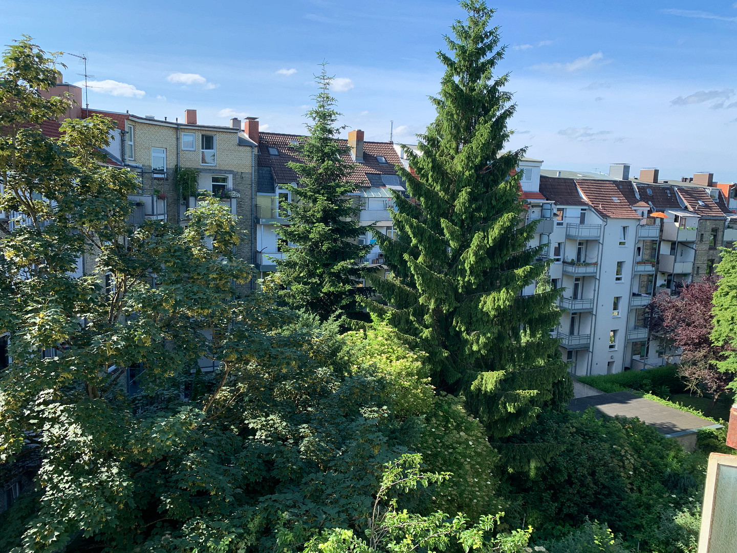 Helle, schöne und gepflegte Altbauwohnung mit Dielenfussboden und Einbauküche – Fockstrasse 26, 24114 Kiel(Südfriedhof) – Vorschaubild 17