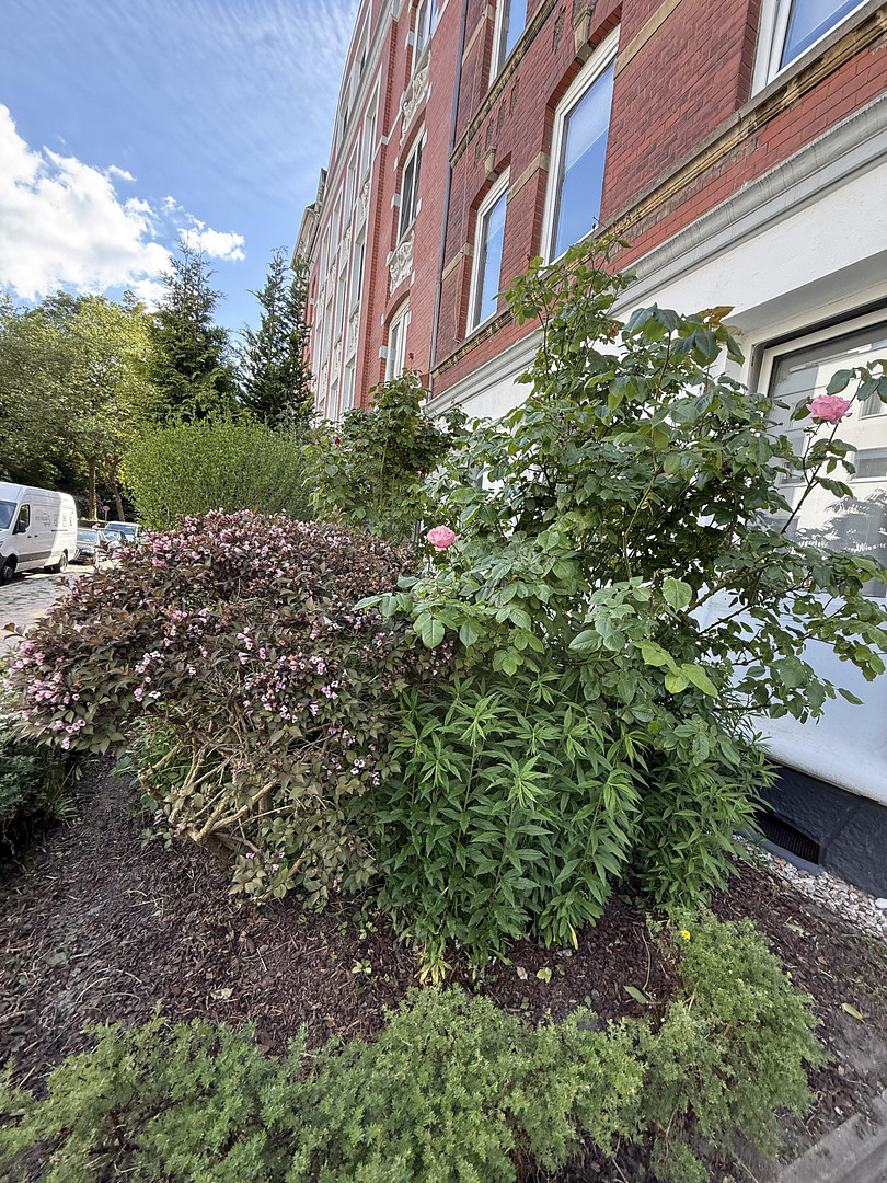 Helle, schöne und gepflegte Altbauwohnung mit Dielenfussboden und Einbauküche – Fockstrasse 26, 24114 Kiel(Südfriedhof) – Vorschaubild 33