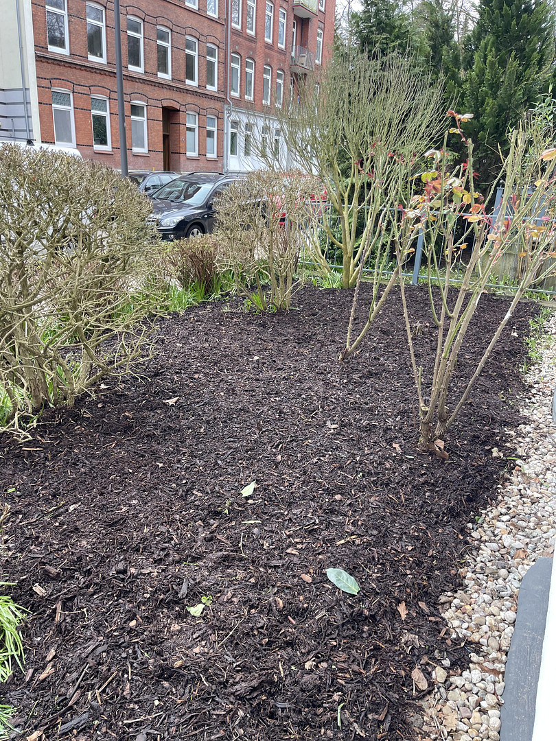 Helle, schöne und gepflegte Altbauwohnung mit Dielenfussboden und Einbauküche – Fockstrasse 26, 24114 Kiel(Südfriedhof) – Vorschaubild 25