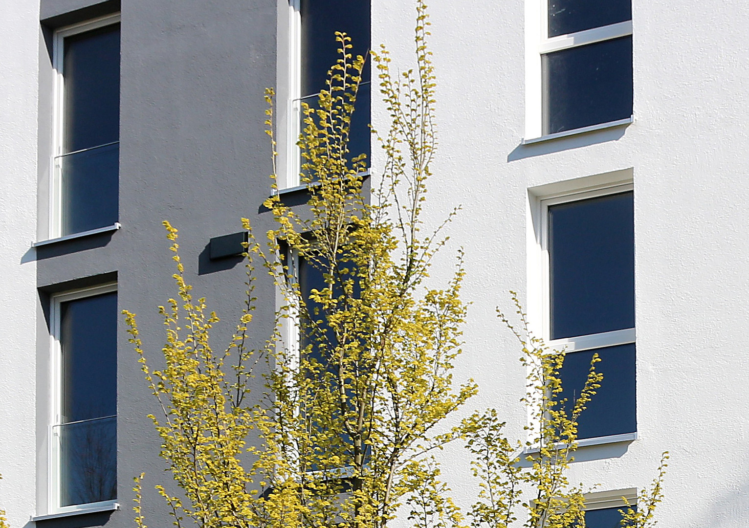 Stilvolle, neuwertige 3-Zimmer-Wohnung in Rostock-Südstadt – Albert-Einstein-Str. 7a, 18059 Rostock(Südstadt) – Vorschaubild 2