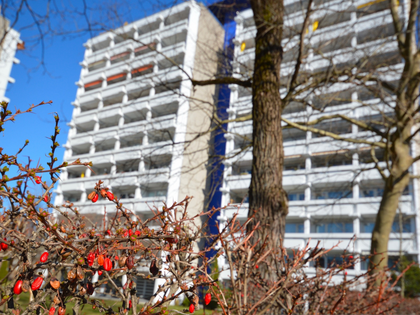 Eine schöne 1-Zi.-Wohnung mit toller Aussicht in der Nähe der U-Bahn von Privat – Neubeuernerstraße 10, 80686 München(Laim) – Vorschaubild 20