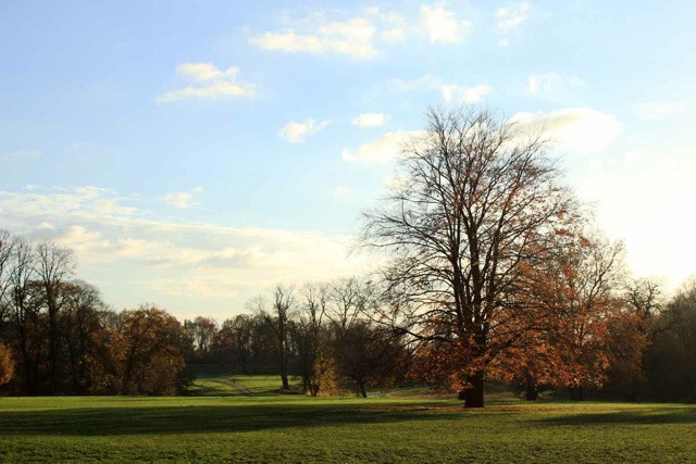 Hochparterre in Jugendstilhaus direkt am Jenischpark mit eigenem Garten von Privat – Hochrad 33, 22605 Hamburg(Othmarschen) – Vorschaubild 22