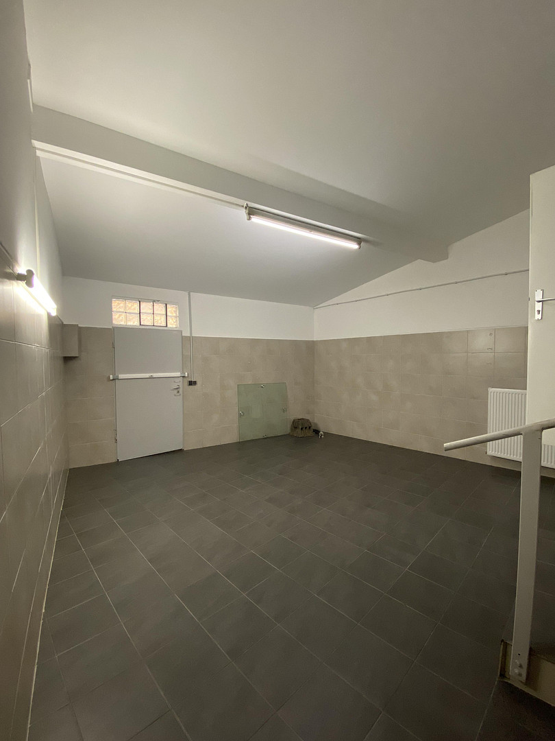 Vielseitig nutzbares Wohn- und Geschäftshaus – Antoniterstraße 54, 55232 Alzey – Vorschaubild 5