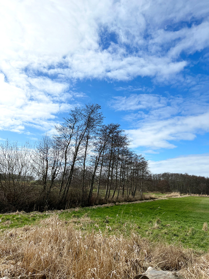 RÜGEN Ferienanlage mit 4 separaten Einheiten – Dorfstraße, 16 undefined – Vorschaubild 27