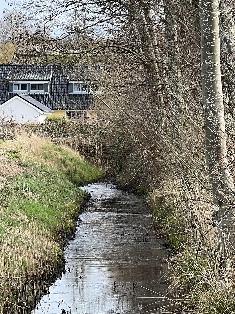 RÜGEN Ferienanlage mit 4 separaten Einheiten – Dorfstraße, 16 undefined – Vorschaubild 47