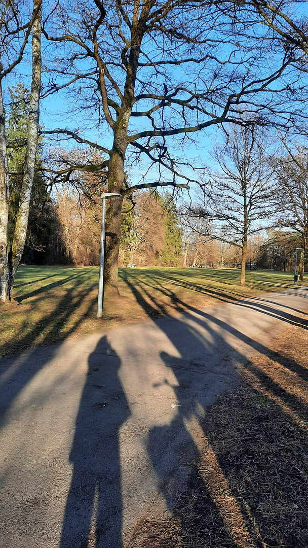 Traumhaft wohnen in München-Solln: Möblierte 2-Zimmer-Gartenwohnung – Franz-Reber-Weg 6, 81479 München(Solln) – Vorschaubild 48