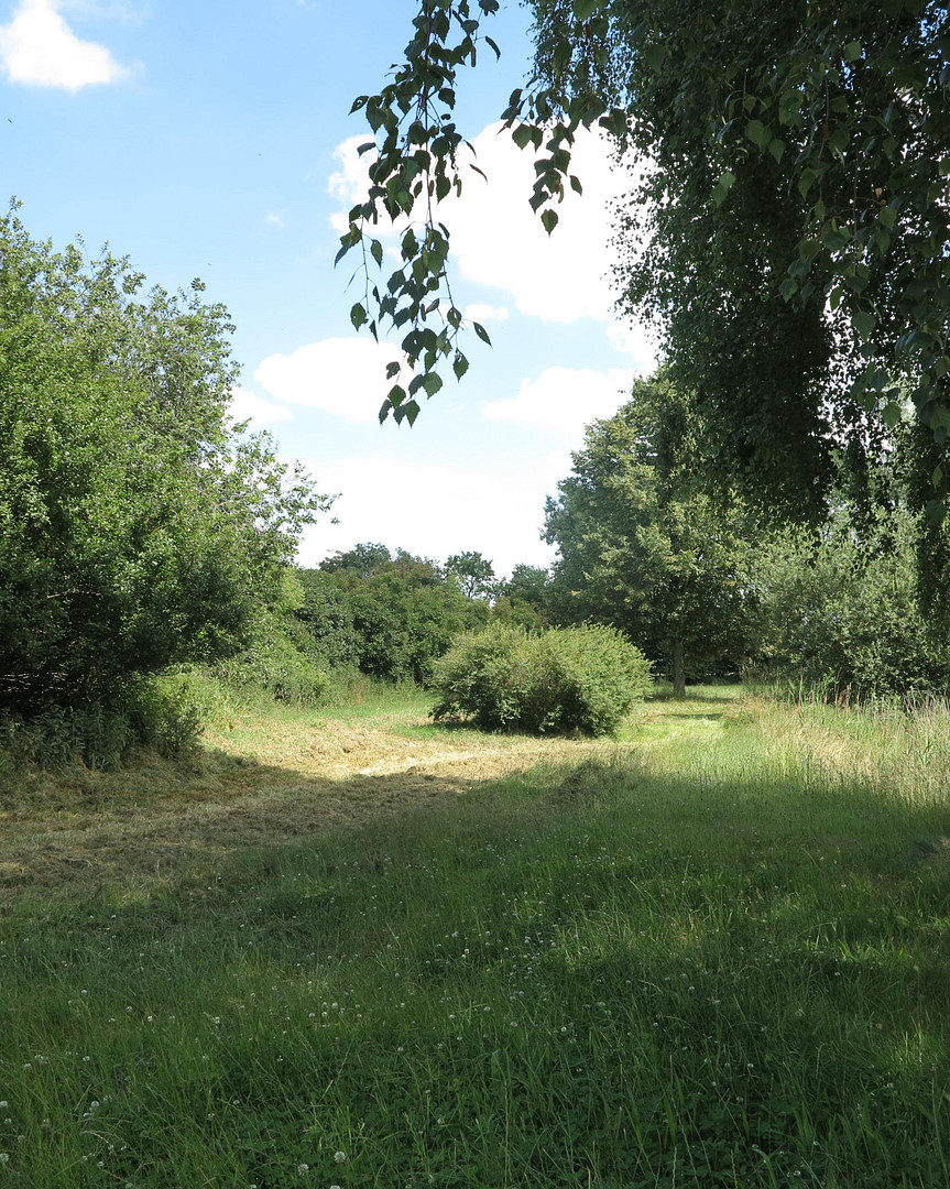 eines der letzten, erhaltenen SCHEUNENGUTSHÄUSER (mit 4-6 ha. Naturgrundstück) – Ivenack(Goddin) – Vorschaubild 40