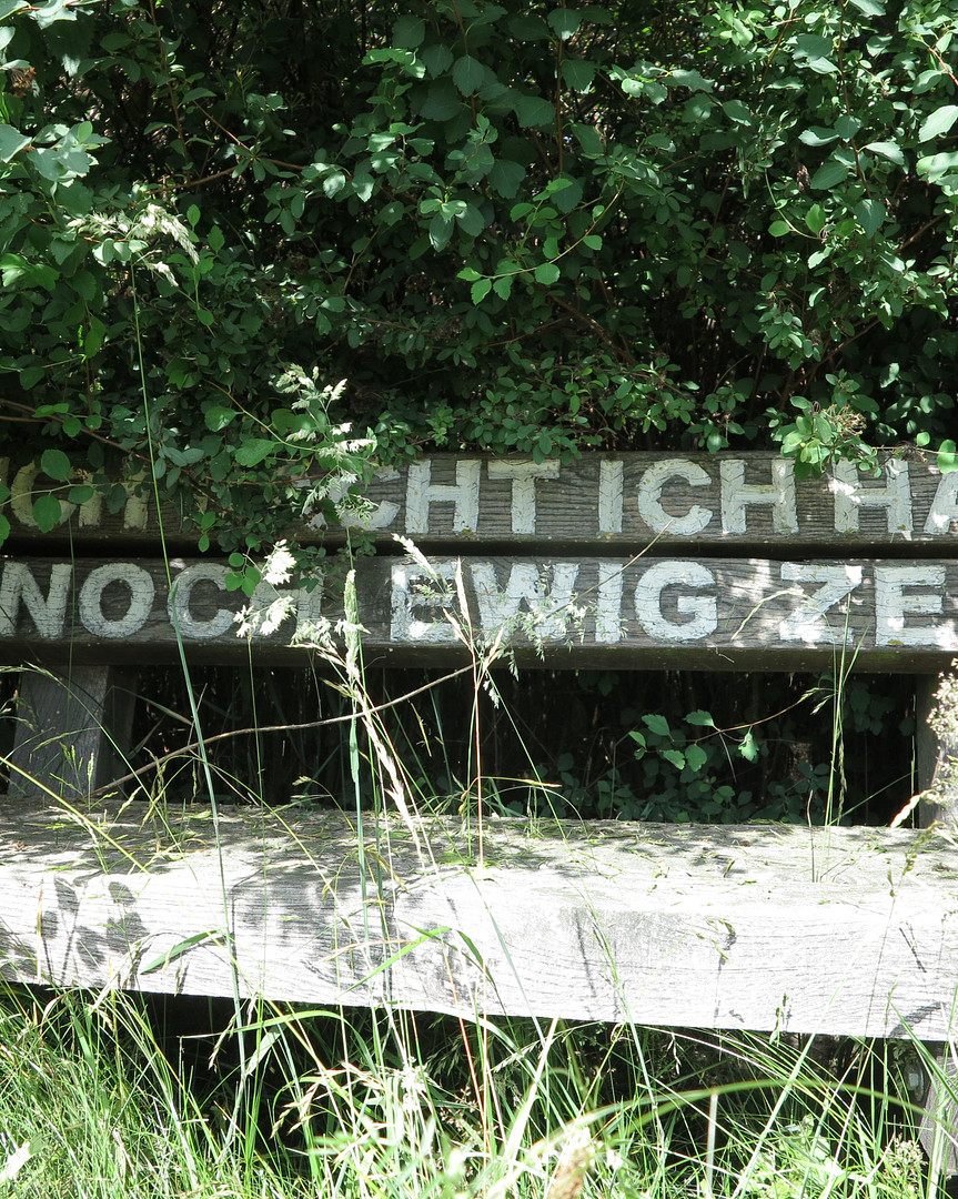 eines der letzten, erhaltenen SCHEUNENGUTSHÄUSER (mit 4-6 ha. Naturgrundstück) – Ivenack(Goddin) – Vorschaubild 41