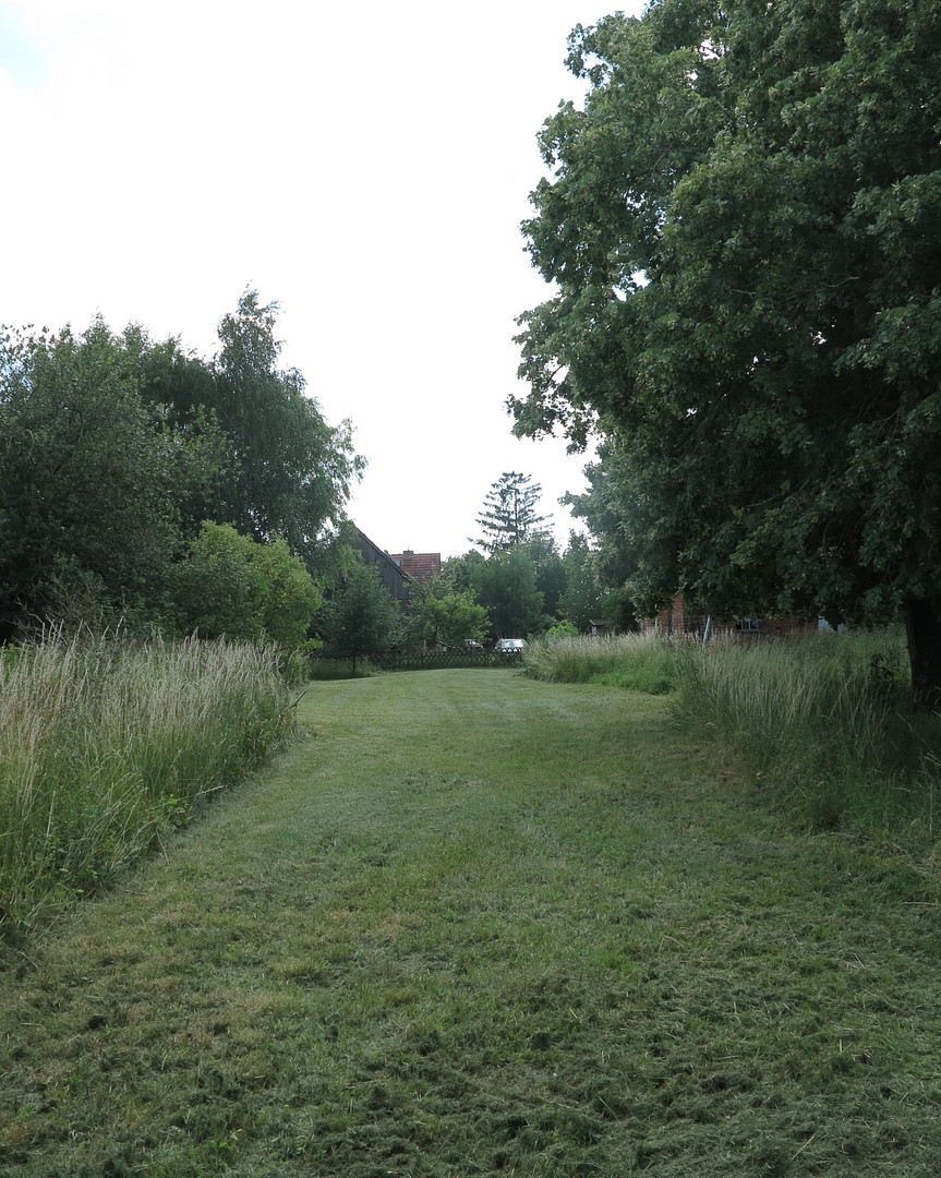 eines der letzten, erhaltenen SCHEUNENGUTSHÄUSER (mit 4-6 ha. Naturgrundstück) – Ivenack(Goddin) – Vorschaubild 37