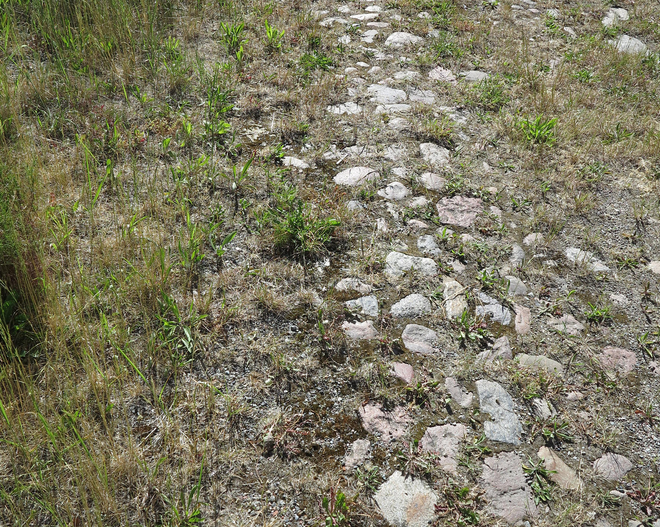 eines der letzten, erhaltenen SCHEUNENGUTSHÄUSER (mit 4-6 ha. Naturgrundstück) – Ivenack(Goddin) – Vorschaubild 17