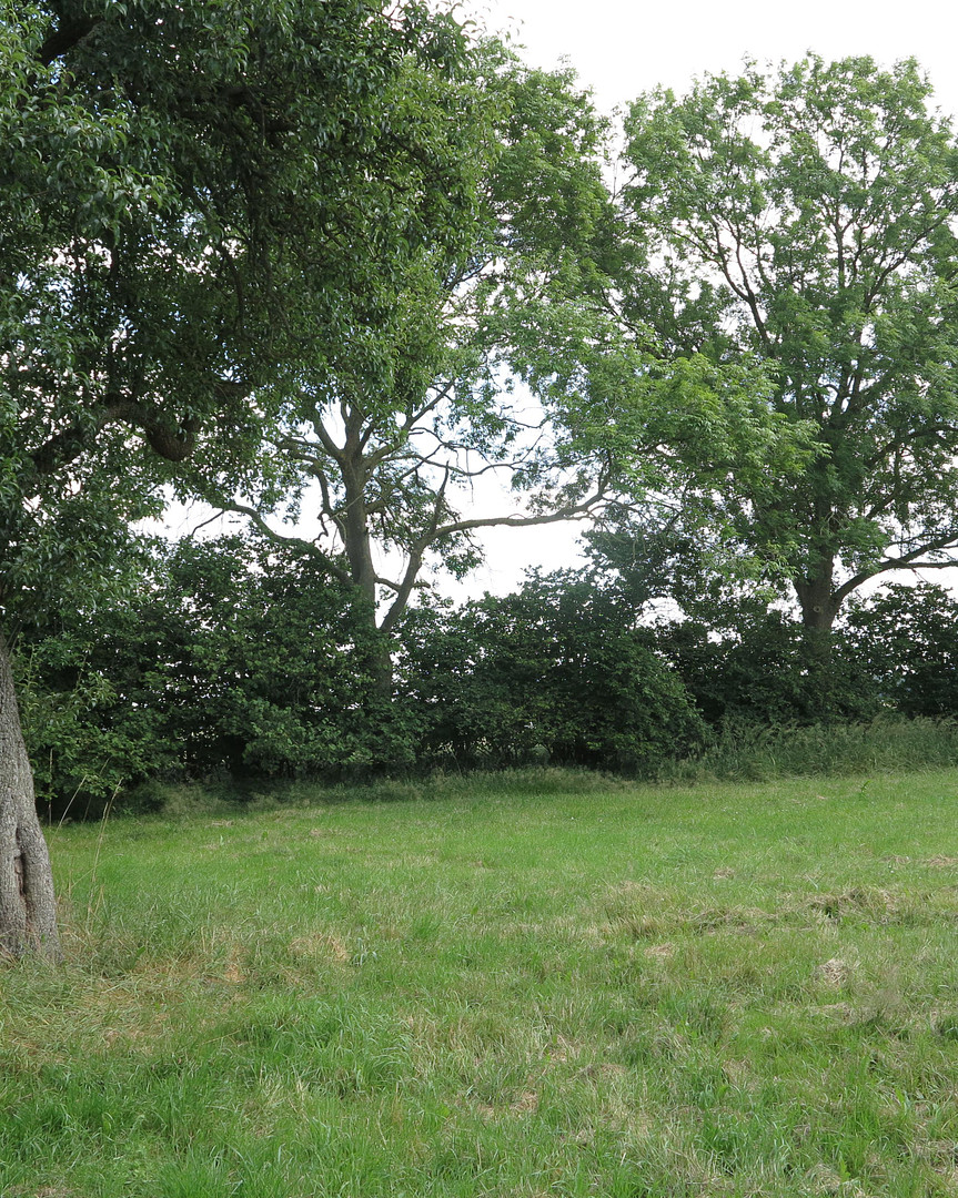 eines der letzten, erhaltenen SCHEUNENGUTSHÄUSER (mit 4-6 ha. Naturgrundstück) – Ivenack(Goddin) – Vorschaubild 43