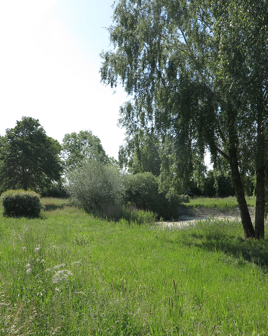 eines der letzten, erhaltenen SCHEUNENGUTSHÄUSER (mit 4-6 ha. Naturgrundstück) – Ivenack(Goddin) – Vorschaubild 22