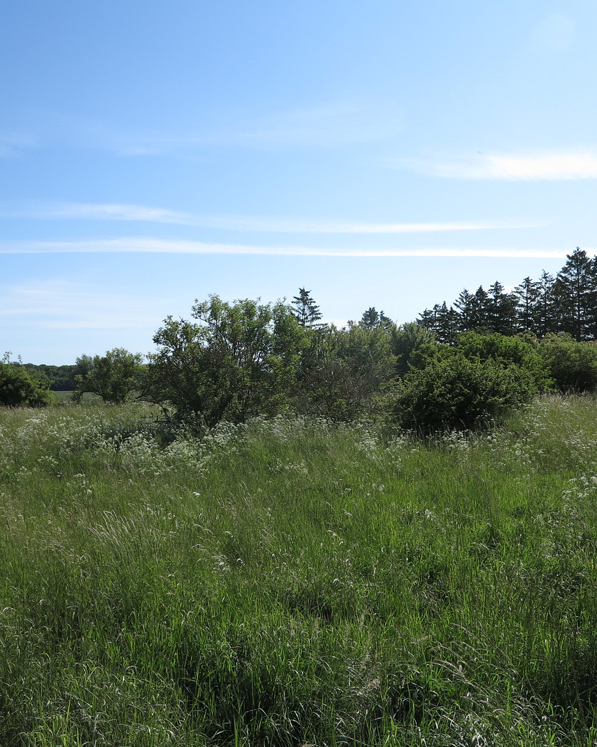 eines der letzten, erhaltenen SCHEUNENGUTSHÄUSER (mit 4-6 ha. Naturgrundstück) – Ivenack(Goddin) – Vorschaubild 21