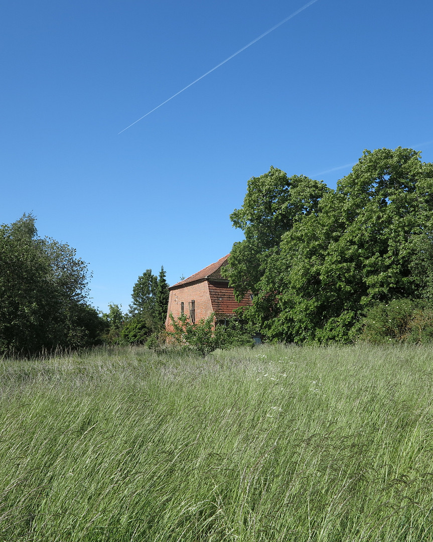 eines der letzten, erhaltenen SCHEUNENGUTSHÄUSER (mit 4-6 ha. Naturgrundstück) – Ivenack(Goddin) – Vorschaubild 25