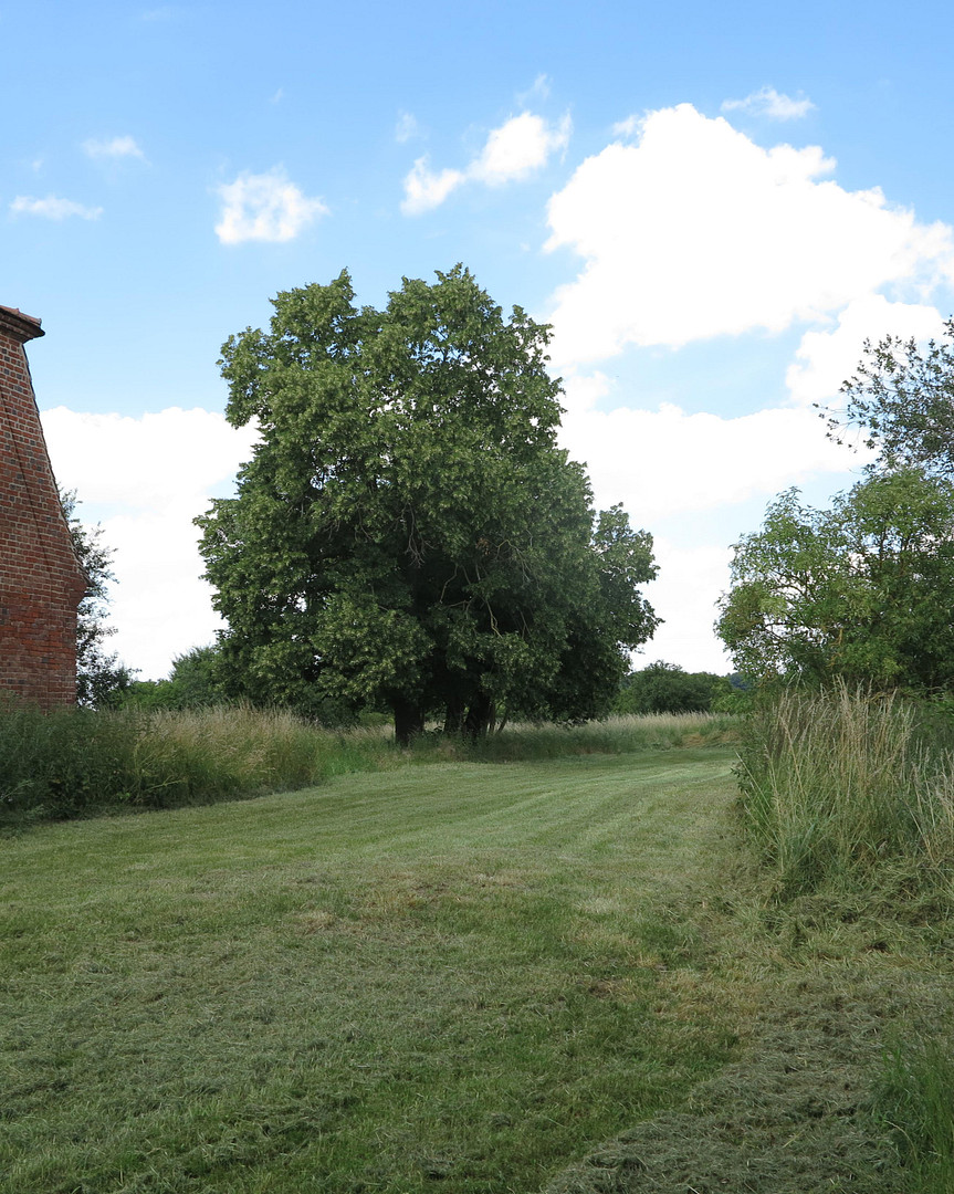 eines der letzten, erhaltenen SCHEUNENGUTSHÄUSER (mit 4-6 ha. Naturgrundstück) – Ivenack(Goddin) – Vorschaubild 38