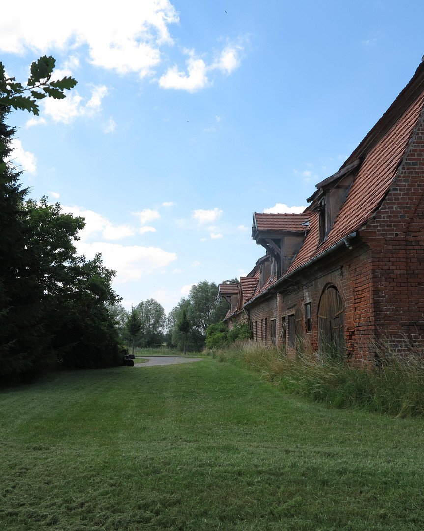 eines der letzten, erhaltenen SCHEUNENGUTSHÄUSER (mit 4-6 ha. Naturgrundstück) – Ivenack(Goddin) – Vorschaubild 18