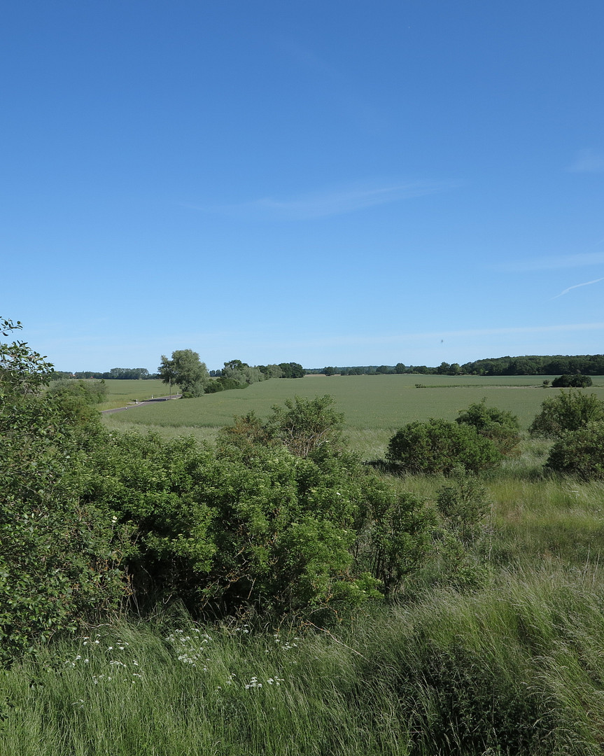 eines der letzten, erhaltenen SCHEUNENGUTSHÄUSER (mit 4-6 ha. Naturgrundstück) – Ivenack(Goddin) – Vorschaubild 20