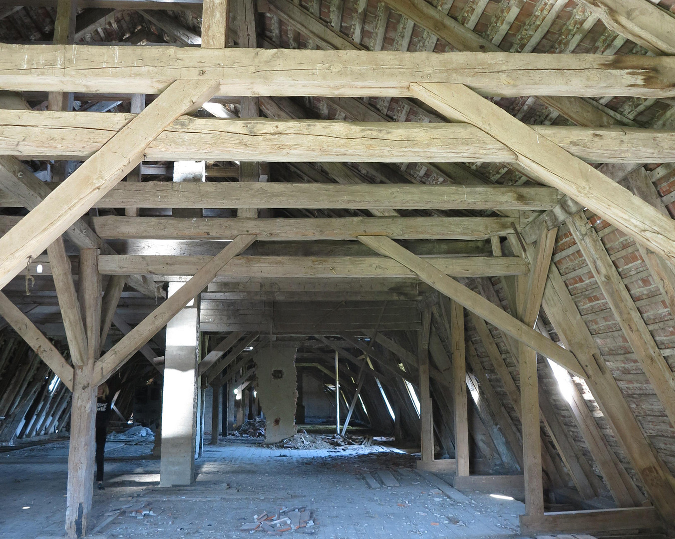 eines der letzten, erhaltenen SCHEUNENGUTSHÄUSER (mit 4-6 ha. Naturgrundstück) – Ivenack(Goddin) – Vorschaubild 6