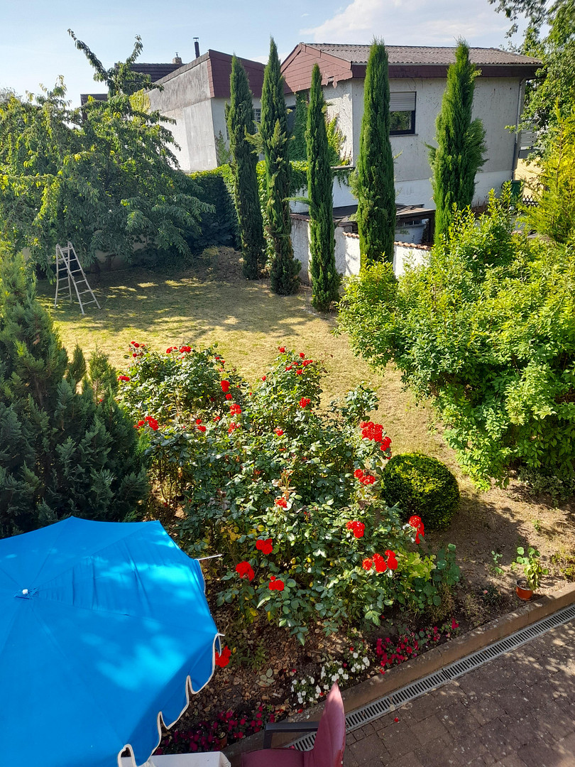 Freistehendes 1-Familienhaus in ruhiger Wohnlage – Schwabenheim an der Selz – Vorschaubild 3