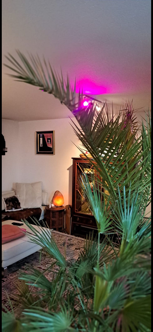 Attraktive Zweizimmerwohnung mit Einbauküche und Balkon – Foto 14