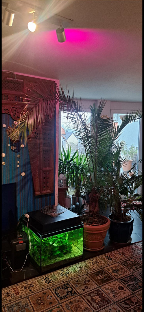 Attraktive Zweizimmerwohnung mit Einbauküche und Balkon – Foto 6