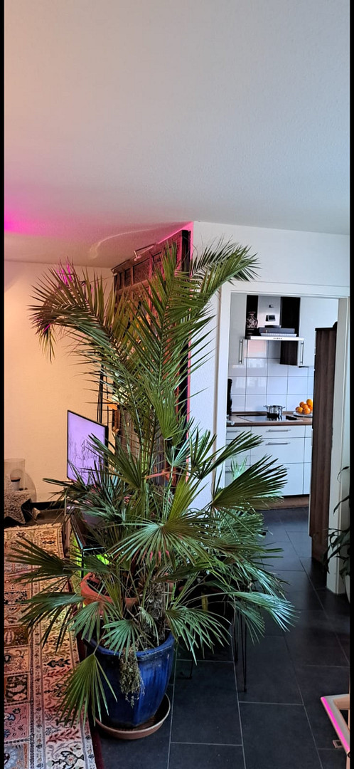 Attraktive Zweizimmerwohnung mit Einbauküche und Balkon – Foto 13