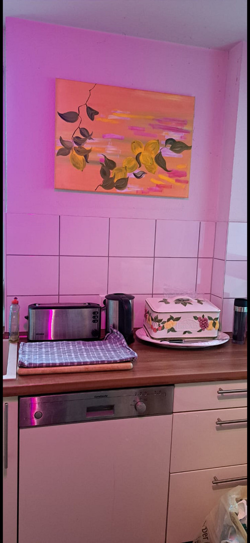 Attraktive Zweizimmerwohnung mit Einbauküche und Balkon – Foto 11