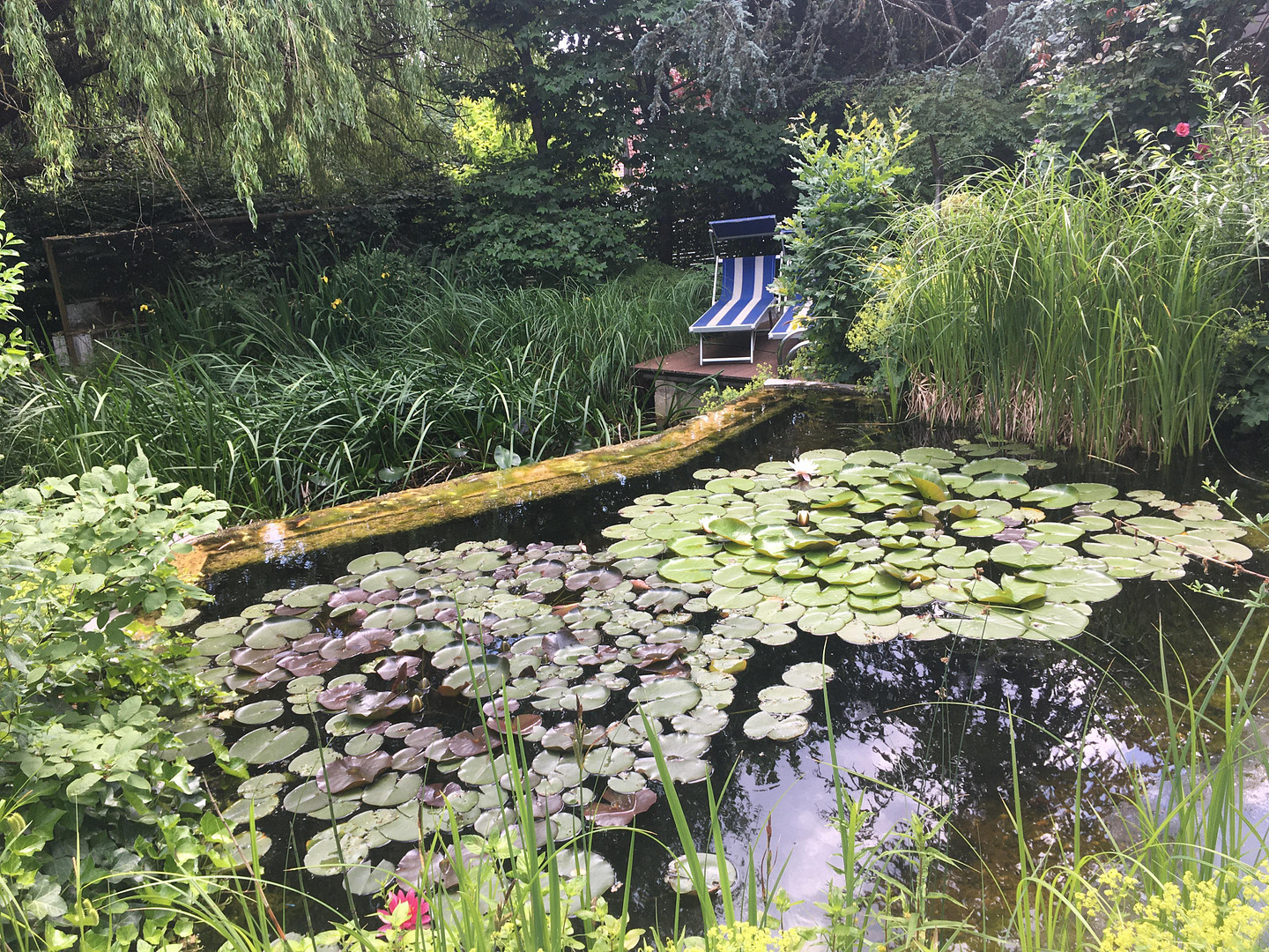 Am Waldrand gelegenes Einfamilienhaus mit ELW und parkähnlichem Garten – Landshut – Vorschaubild 11