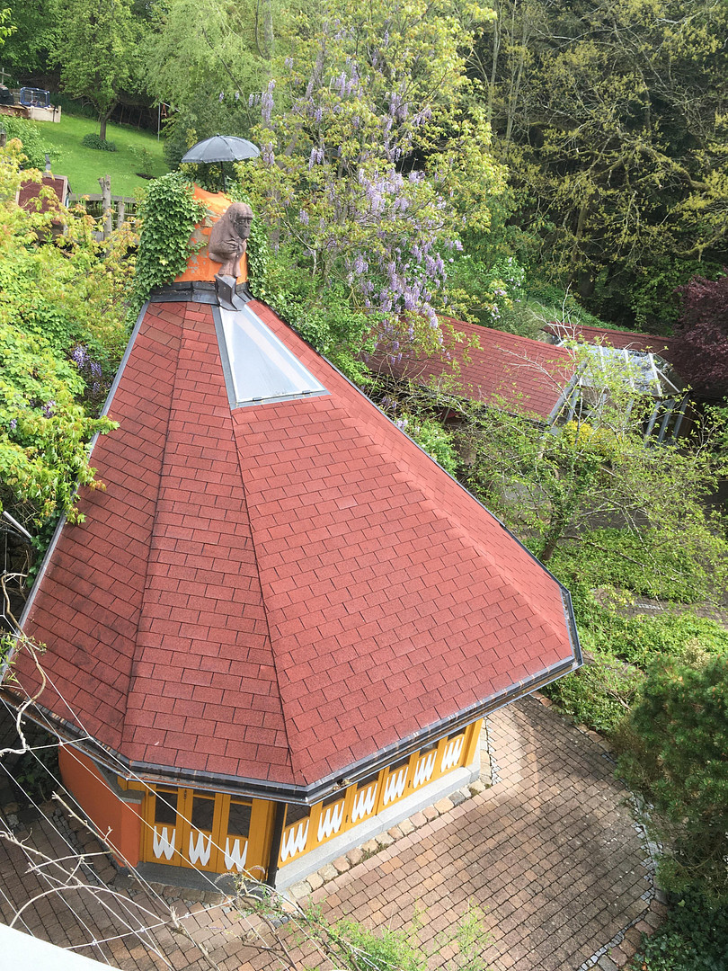 Am Waldrand gelegenes Einfamilienhaus mit ELW und parkähnlichem Garten – Landshut – Vorschaubild 8