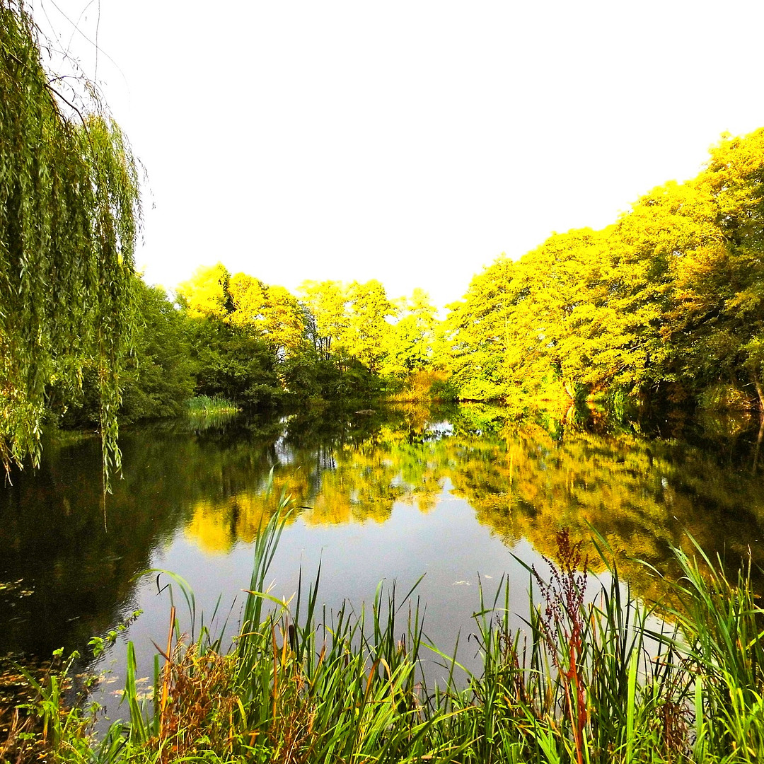 Traumhaus am See – Großenwiehe(Schobüll) – Vorschaubild 2