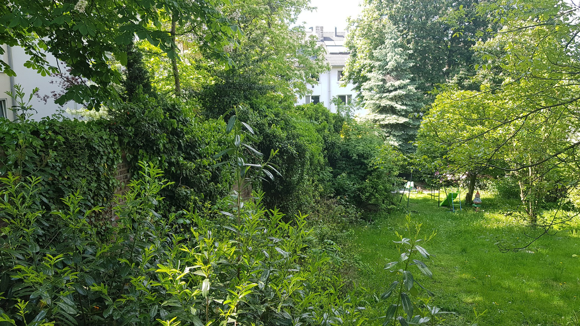 Uninähe, 2 Zimmer, Wohnküche, Einbauküche, begehbarer Kleiderschrank,Gartennutzung, Fernblick...... – Wuppertal(Elberfeld) – Vorschaubild 6