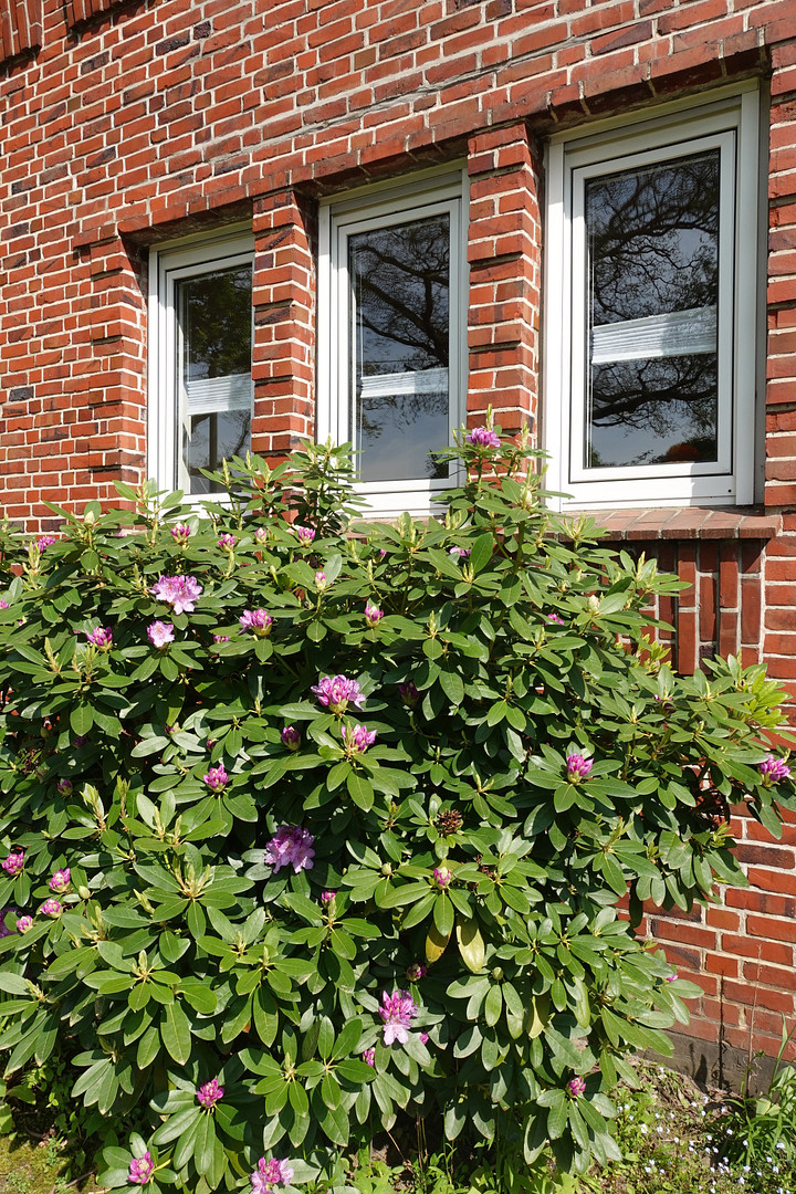 Familienfreundliche Rotklinkervilla auf großem Grundstück in  Wellingsbüttel – Hamburg(Wellingsbüttel) – Vorschaubild 9