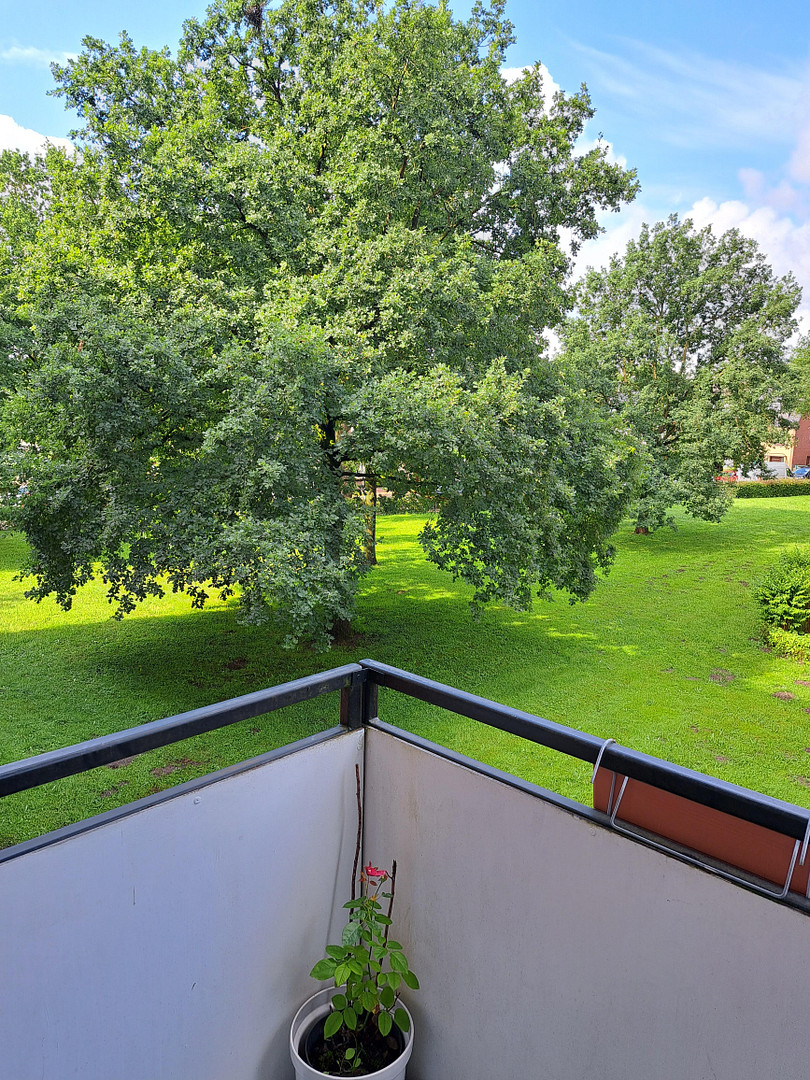 *Sofort bezugsfrei* 3-Zimmer-Wohnung  Ellenerbrok-Schevemoor – Lausanner Straße 127-131, 28325 Bremen(Osterholz) – Vorschaubild 12